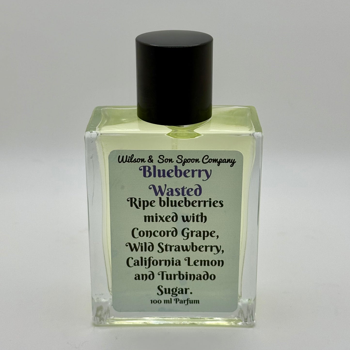100 ml perfumes